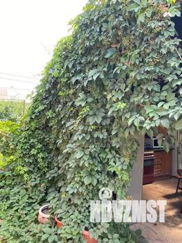 Дом 50м², 1-этажный, посуточно,