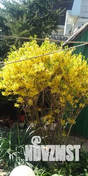 Дом 60м², 2-этажный, посуточно,