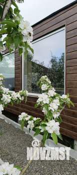 Дом 35м², 1-этажный, посуточно,