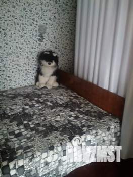 Дом 70м², 1-этажный, посуточно,