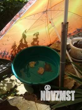 Дом 64м², 2-этажный, посуточно,