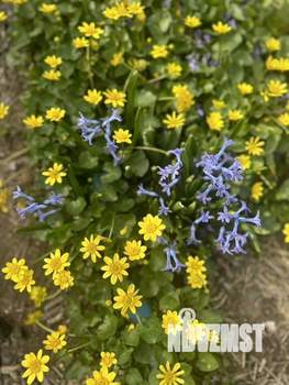 Дом 62м², 2-этажный, посуточно,