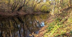 Дом 78м², 2-этажный, участок 23 сот.