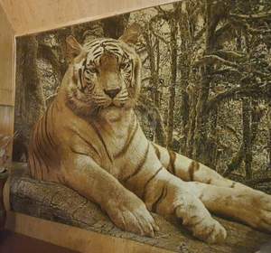 Дом 266м², 3-этажный, участок 9 сот.