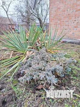 Дом 20м², 1-этажный, участок 6 сот.