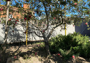 Дом 200м², 1-этажный, участок 5 сот.