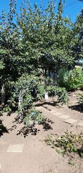 Дом 83м², 1-этажный, участок 3 сот.