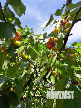 Дом 159м², 2-этажный, участок 7 сот.