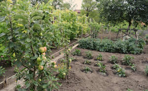 Дом 44м², 2-этажный, участок 5 сот.