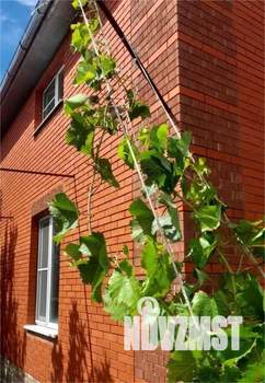 Дом 120м², 2-этажный, участок 6 сот.