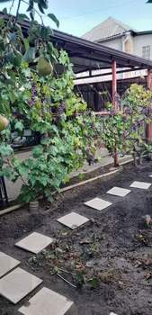 Дом 83м², 1-этажный, участок 3 сот.