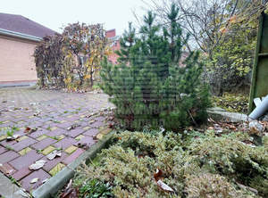 Дача 128м², 1-этажный, участок 6 сот.