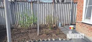 Дом 53м², 1-этажный, участок 3 сот.