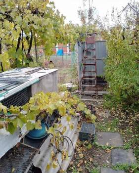 Дом 30м², 1-этажный, участок 7 сот.