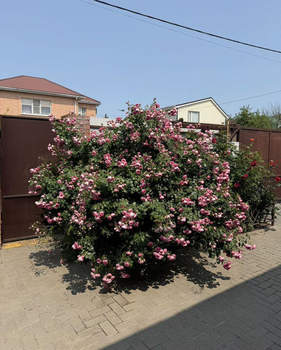 Дом 107м², 1-этажный, участок 4 сот.