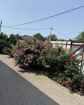 Дом 107м², 1-этажный, участок 4 сот.