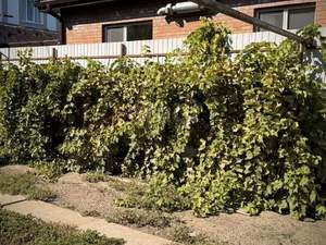 Дом 83м², 1-этажный, участок 5 сот.