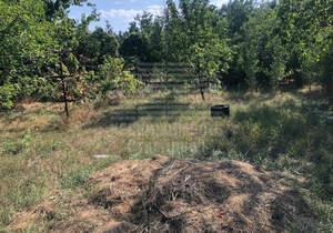 Дом 40м², 1-этажный, участок 6 сот.