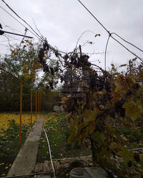 Дом 64м², 1-этажный, участок 8 сот.  