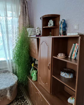 Дом 56м², 1-этажный, участок 3 сот.  