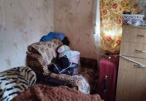 Дом 50м², 1-этажный, участок 1 сот.  