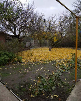 Дом 64м², 1-этажный, участок 8 сот.  