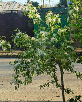 Дом 51м², 1-этажный, участок 2 сот.  