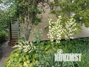 Дом 110м&sup2;, 2-этажный, участок 6 сот.  