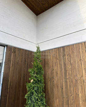 Дом 115м², 1-этажный, участок 3 сот.  