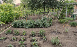 Дом 44м², 2-этажный, участок 5 сот.  