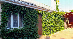 Дом 100м², 1-этажный, участок 4 сот.  