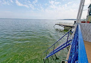 Дом 81м², 1-этажный, участок 1 сот.  