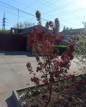 Дом 51м², 1-этажный, участок 2 сот.  