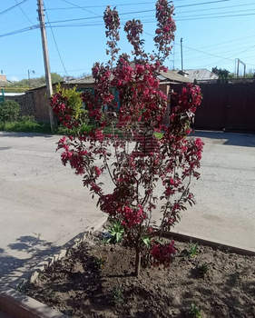 Дом 51м², 1-этажный, участок 2 сот.  