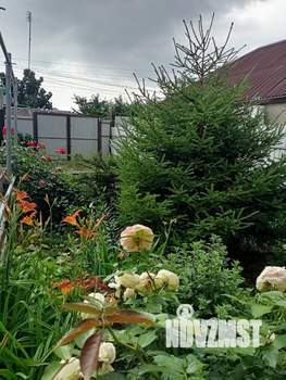 Дом 128м&sup2;, 1-этажный, участок 5 сот.  