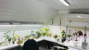 Дом 65м², 1-этажный, участок 4 сот.  