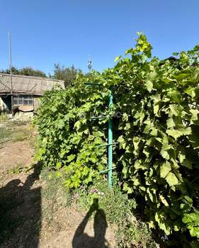 Дом 48м², 1-этажный, участок 3 сот.  