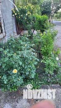 Дом 200м&sup2;, 2-этажный, участок 4 сот.  