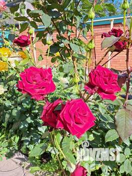 Дом 160м&sup2;, 2-этажный, участок 7 сот.  