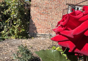 Дом 70м&sup2;, 1-этажный, участок 6 сот.  