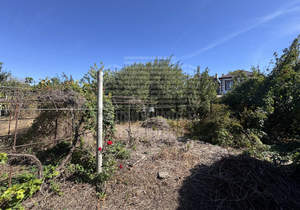 Дом 70м&sup2;, 1-этажный, участок 6 сот.  