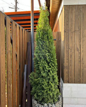 Дом 115м², 1-этажный, участок 3 сот.  