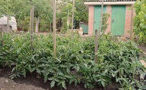 Дом 44м², 2-этажный, участок 5 сот.  