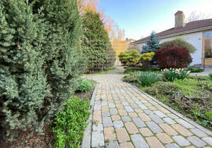 Дом 74м², 1-этажный, участок 4 сот.  