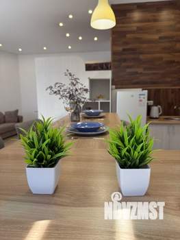 Студия квартира, посуточно, 55м2, 2/3 этаж