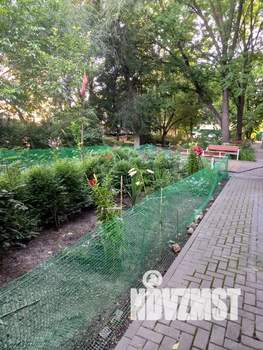 Фото квартиры в аренду (1)