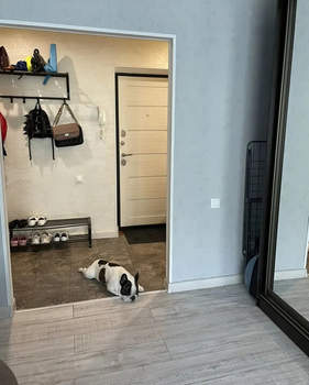 2-к квартира, вторичка, 52м2, 1/5 этаж