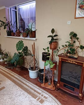 3-к квартира, вторичка, 67м2, 1/5 этаж