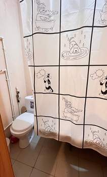 1-к квартира, вторичка, 30м2, 1/3 этаж