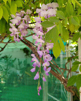 3-к квартира, вторичка, 74м2, 1/1 этаж